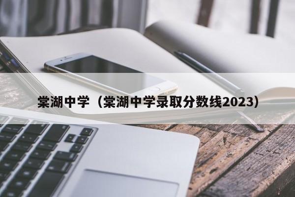 棠湖中学（棠湖中学录取分数线2023）