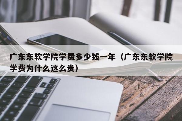 广东东软学院学费多少钱一年（广东东软学院学费为什么这么贵）