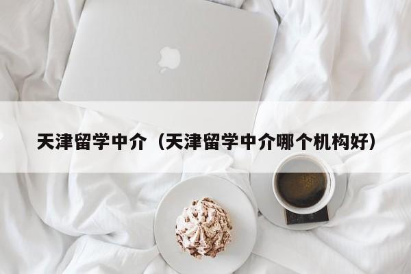 天津留学中介（天津留学中介哪个机构好）