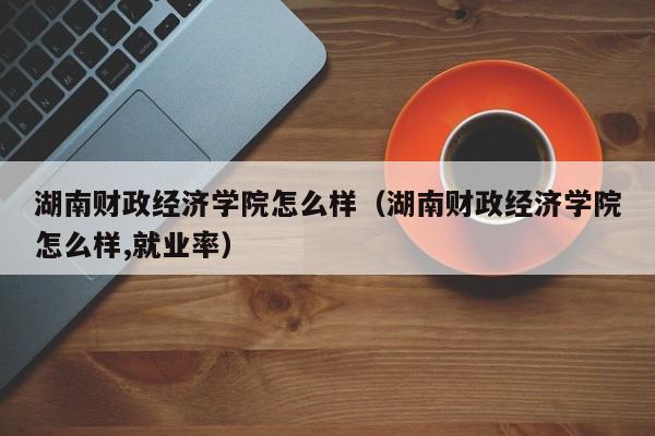 湖南财政经济学院怎么样（湖南财政经济学院怎么样,就业率）