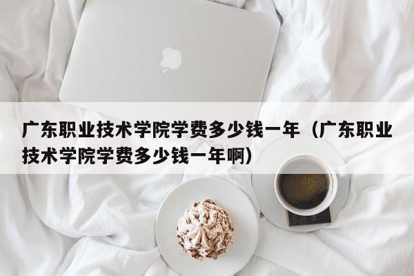 广东职业技术学院学费多少钱一年（广东职业技术学院学费多少钱一年啊）