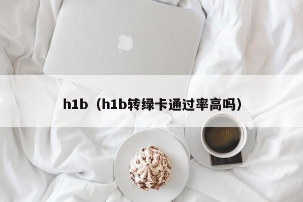 h1b（h1b转绿卡通过率高吗）