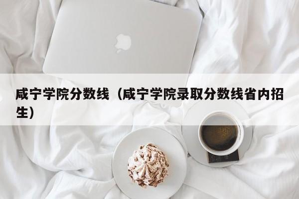 咸宁学院分数线（咸宁学院录取分数线省内招生）