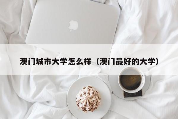 澳门城市大学怎么样（澳门最好的大学）