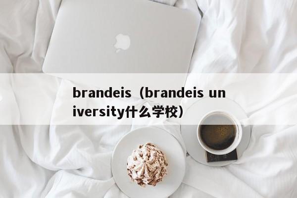 brandeis（brandeis university什么学校）