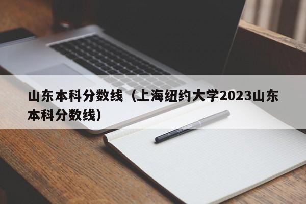 山东本科分数线（上海纽约大学2023山东本科分数线）