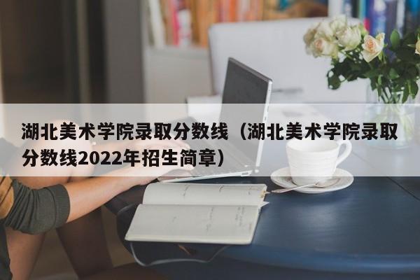 湖北美术学院录取分数线（湖北美术学院录取分数线2022年招生简章）