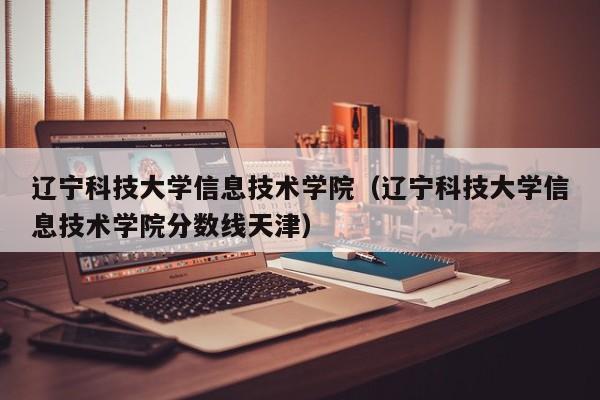 辽宁科技大学信息技术学院（辽宁科技大学信息技术学院分数线天津）