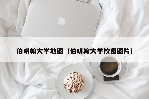 伯明翰大学地图（伯明翰大学校园图片）