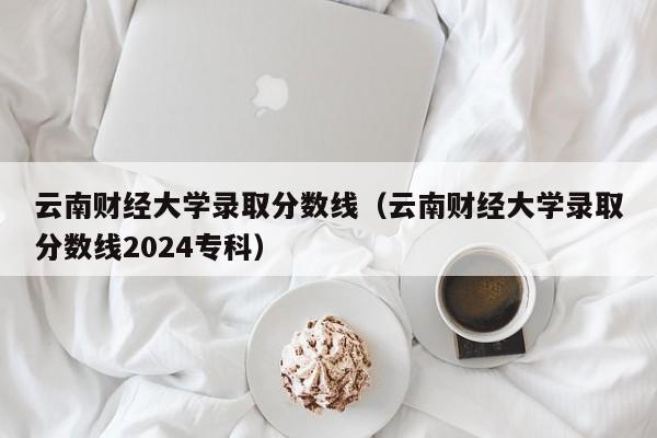 云南财经大学录取分数线（云南财经大学录取分数线2024专科）